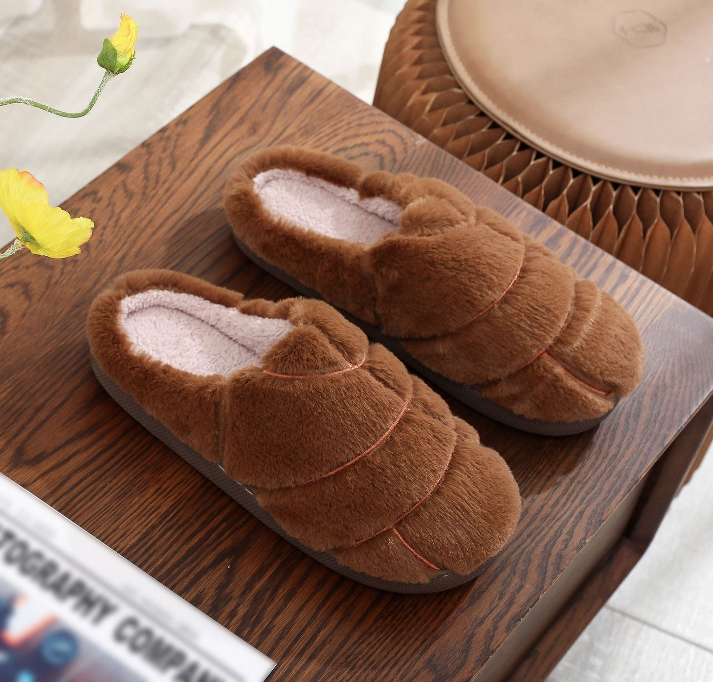 Cozy Conchas